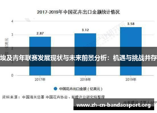 埃及青年联赛发展现状与未来前景分析：机遇与挑战并存