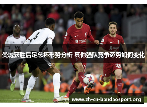 曼城获胜后足总杯形势分析 其他强队竞争态势如何变化