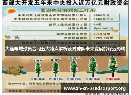 大连鲲城球员合同五大特点解析及对球队未来发展的深远影响