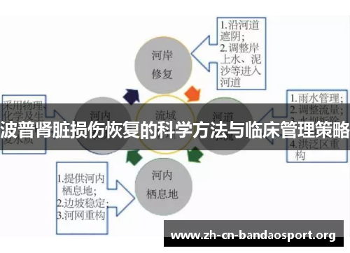 波普肾脏损伤恢复的科学方法与临床管理策略