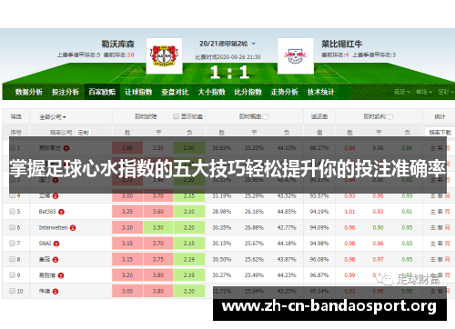 掌握足球心水指数的五大技巧轻松提升你的投注准确率