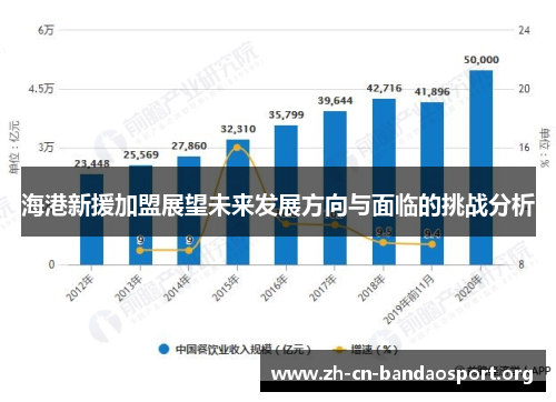 海港新援加盟展望未来发展方向与面临的挑战分析
