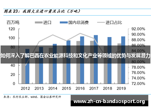 如何深入了解巴西在农业能源科技和文化产业等领域的优势与发展潜力
