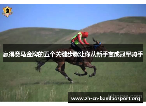 赢得赛马金牌的五个关键步骤让你从新手变成冠军骑手 赢得赛马金牌的五个关键步骤让你从新手变成冠军骑手