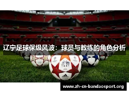 辽宁足球保级风波:球员与教练的角色分析 辽宁足球保级风波:球员与教练的角色分析